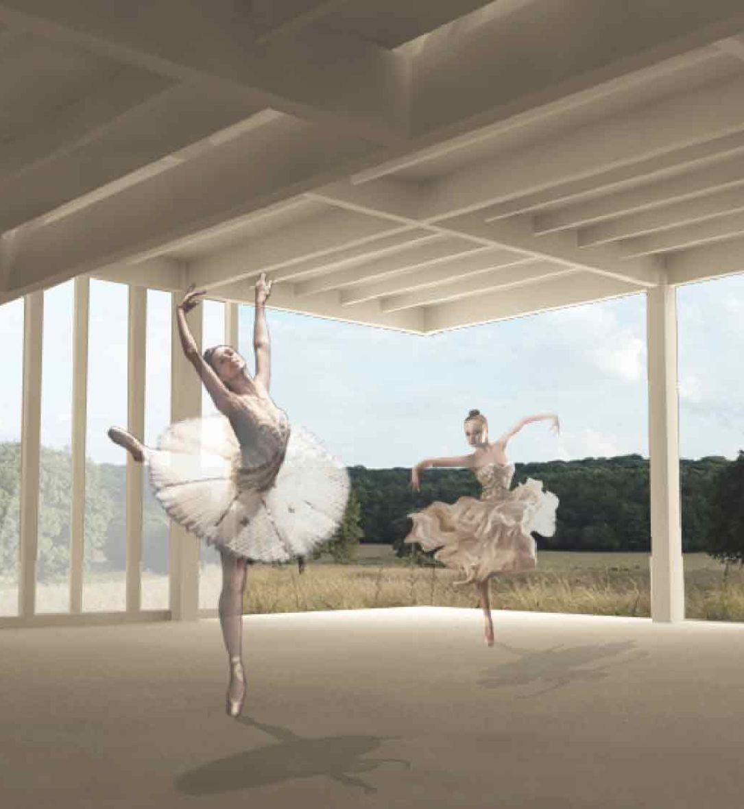 Perspective : Extension salle de danse